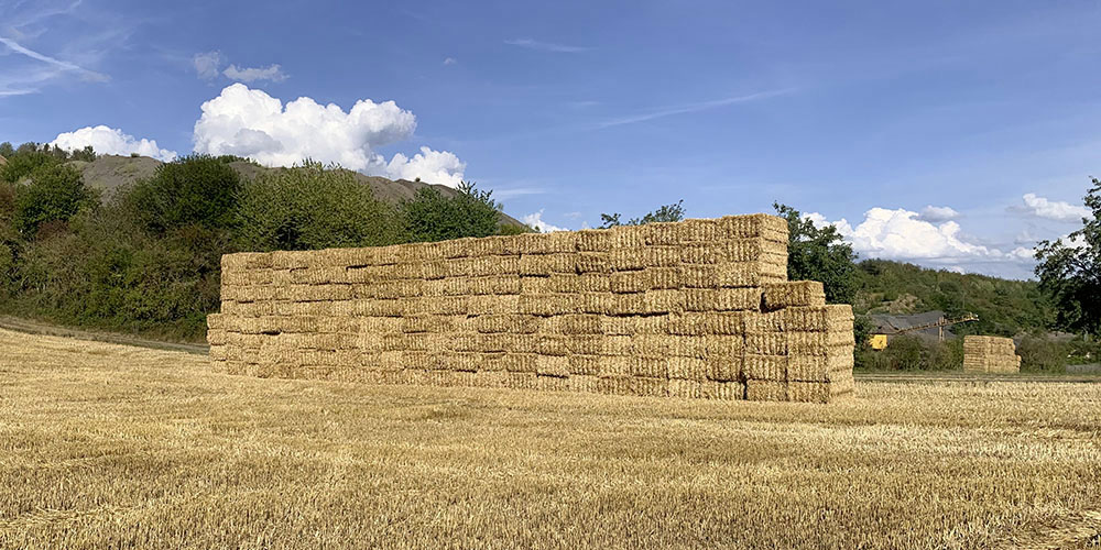 Leistung_Gruenlandpflege_1400_700